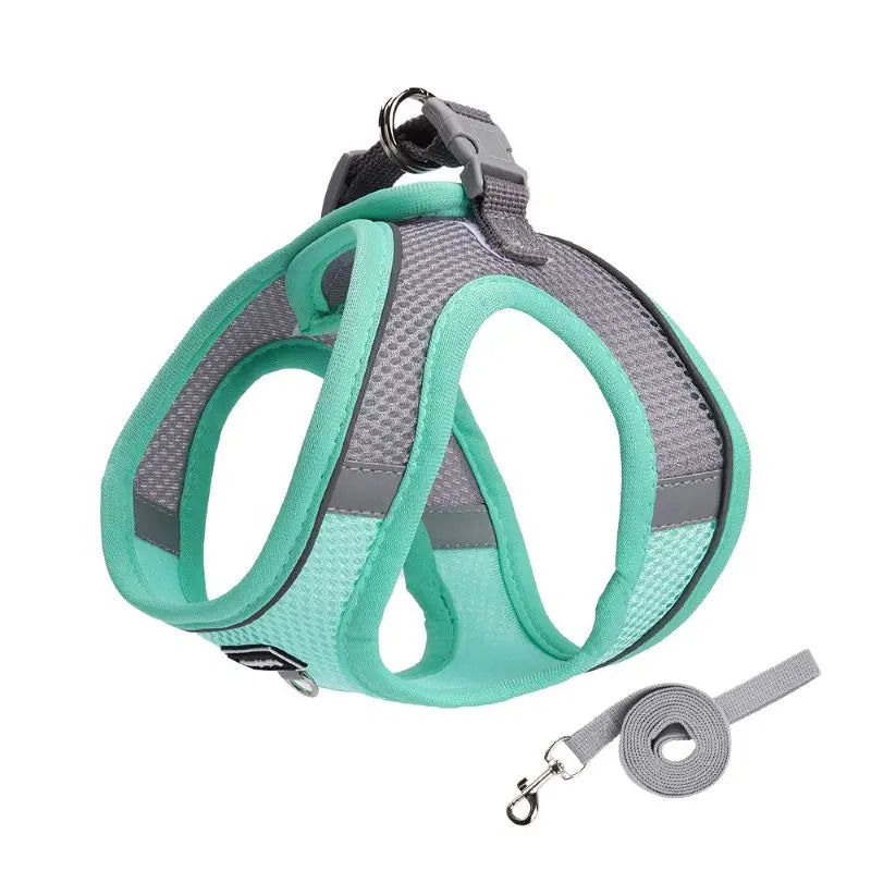 Harness for Dogs and Cats  Adjustable Collar Leash