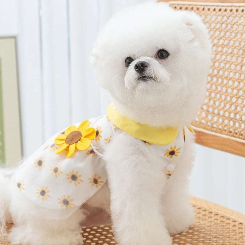 Princess Mesh Puppy Dog Summer Dress Bow Lace