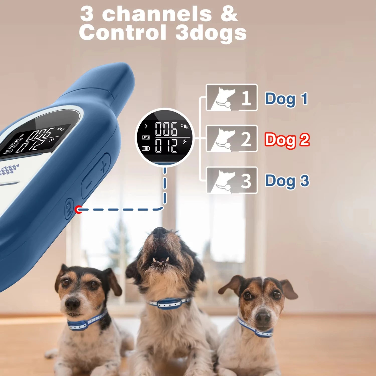 1000M Dog Training Collar 3 Training Modes With Remote