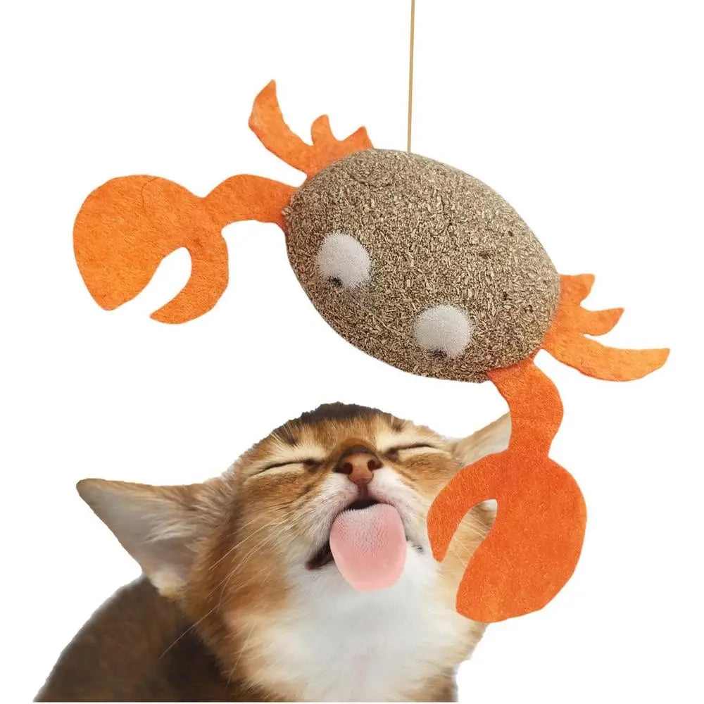 Catnip Cat Toys Cartoons Edible Catnip