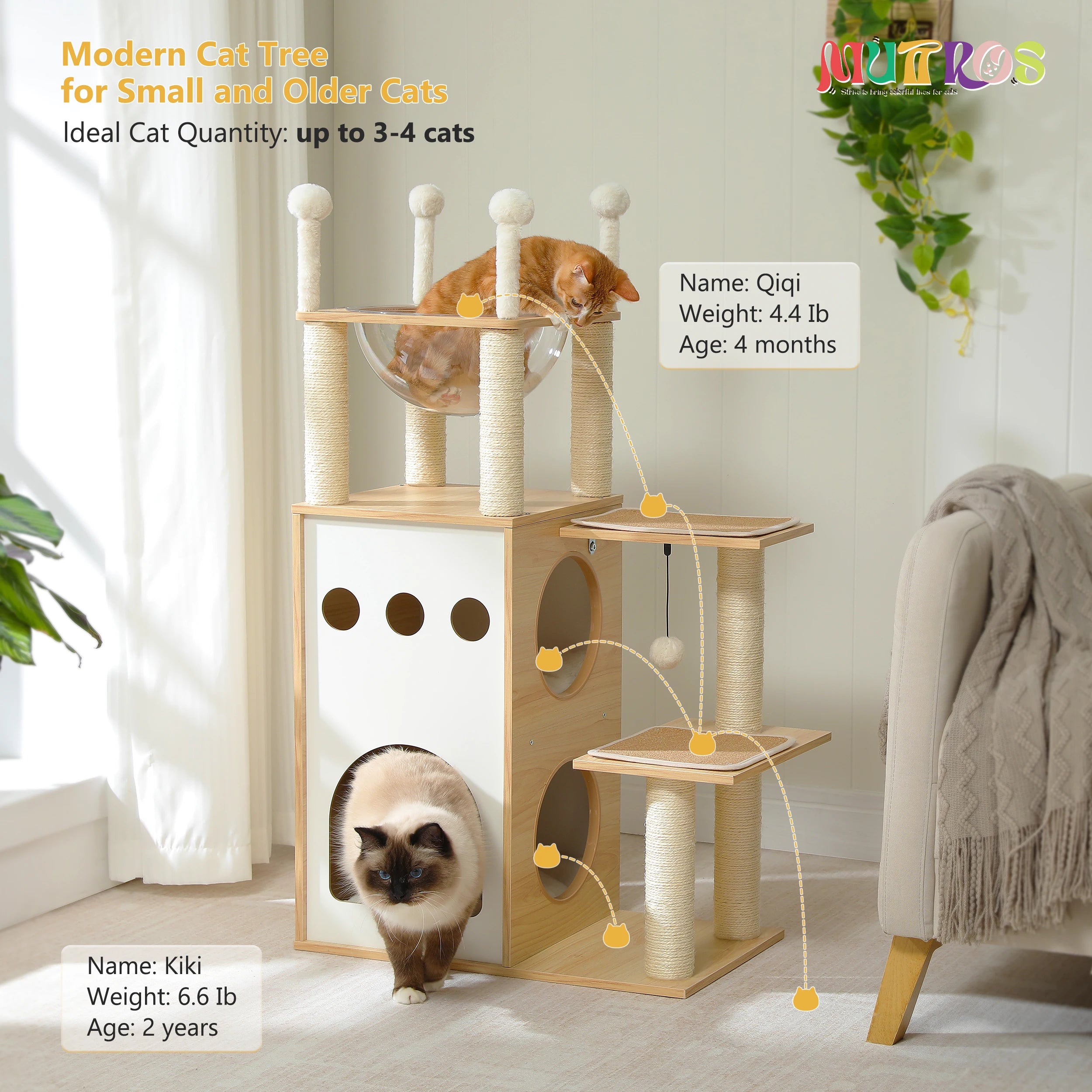 Cat Tower with 2-Floor Condo Cat Furniture with Cat Scratching Posts Capsule Nest and Dangling Balls