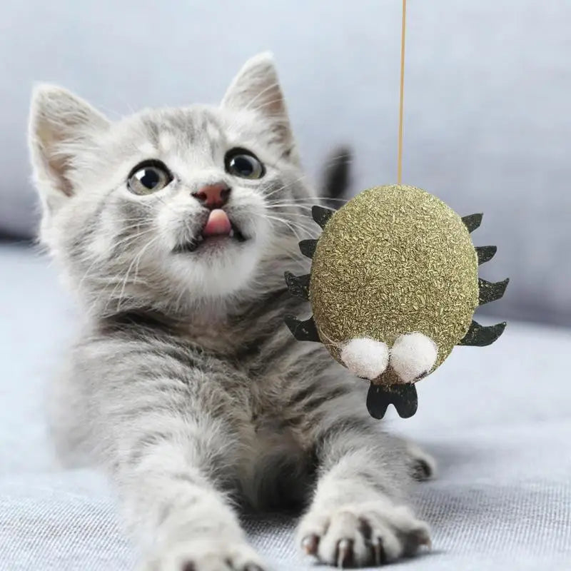 Catnip Cat Toys Cartoons Edible Catnip