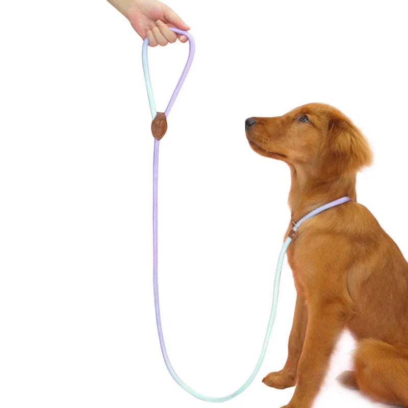 Heavy Duty Braided No Pull Training Lead Leash