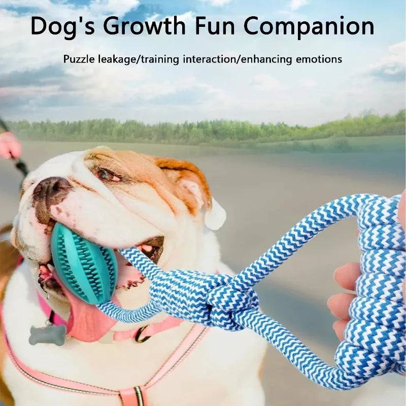 Durable Rope Dog Toy for Aggressive Chewers, Interactive Tug of War Fetch Toy,