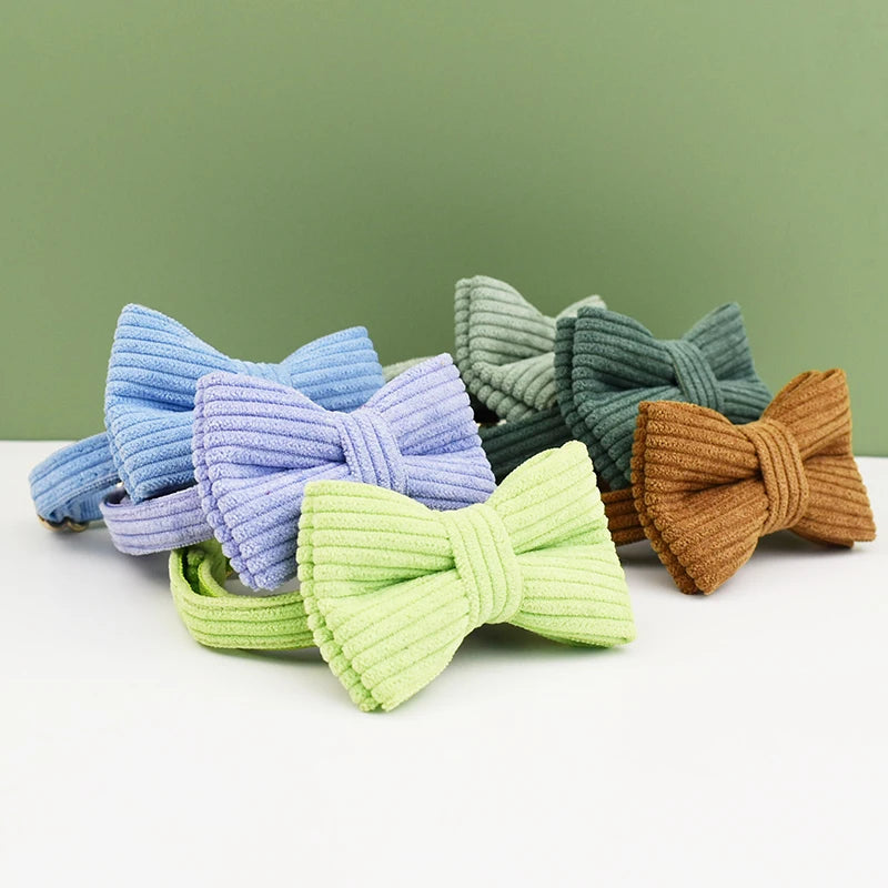 Corduroy Cat Collar with Name Plate Bell Bow Tie Personalized