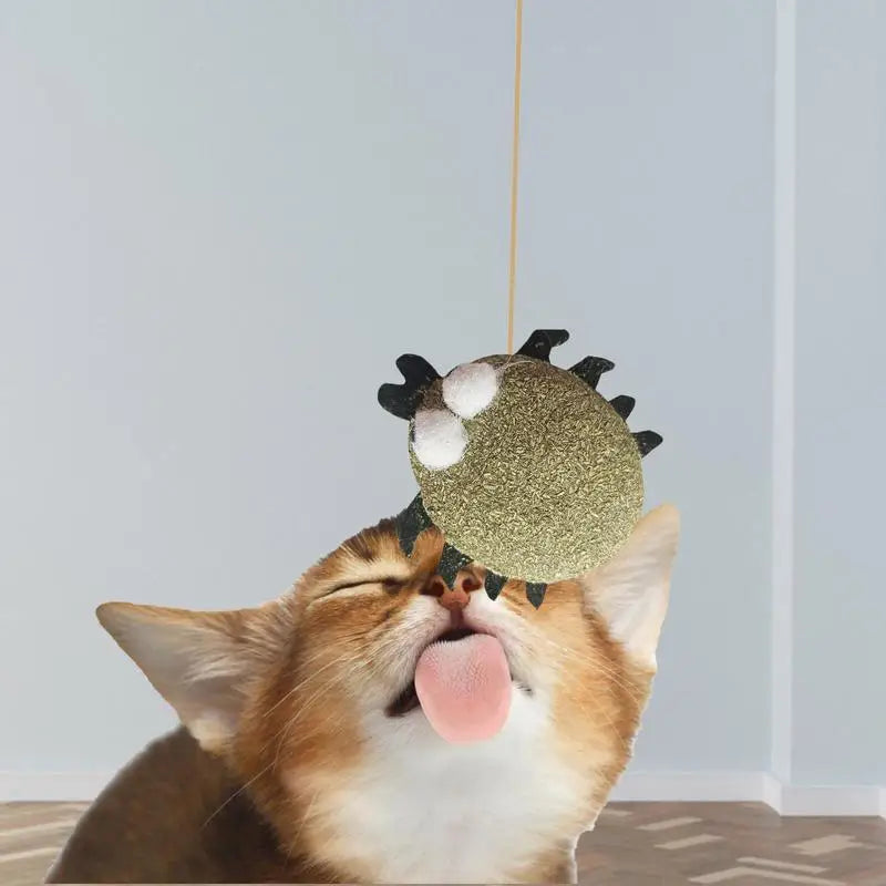 Catnip Cat Toys Cartoons Edible Catnip