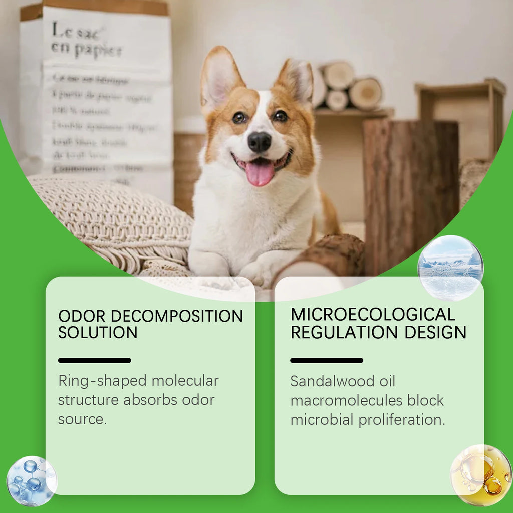 Spray for Cat Dog Urine Accidents on Carpet Furniture