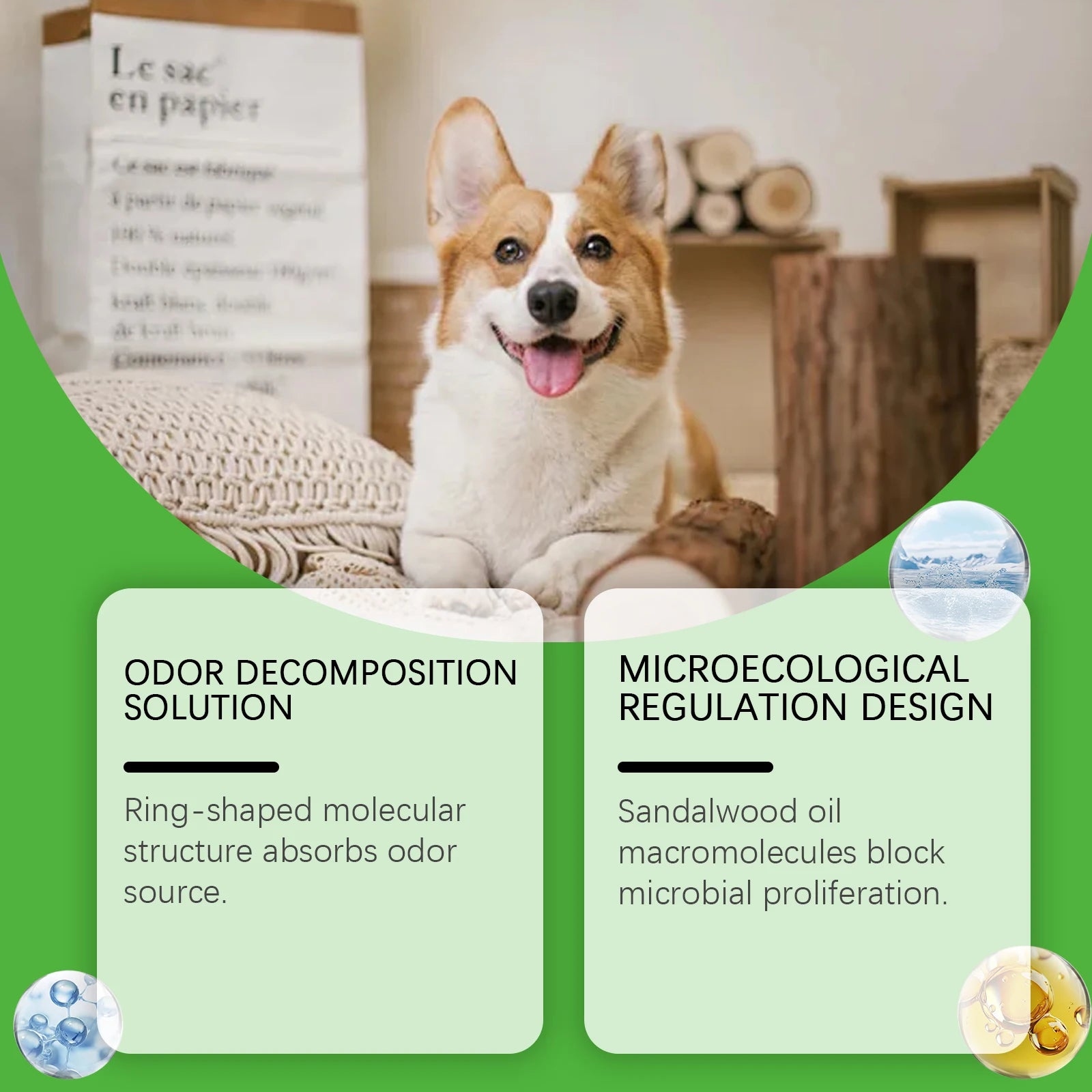 Spray for Cat Dog Urine Accidents on Carpet Furniture