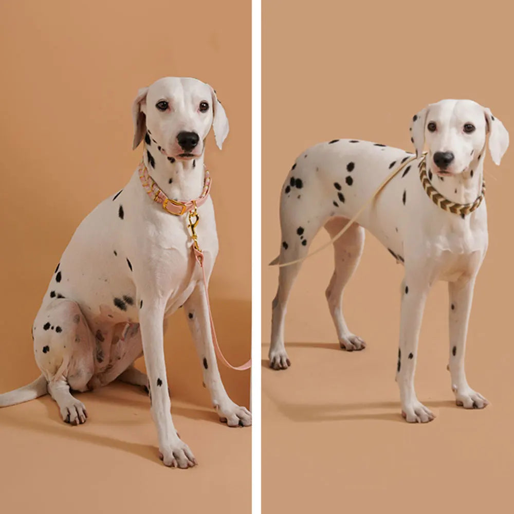 Dog Fashion Collar For Ladies Handmade Design