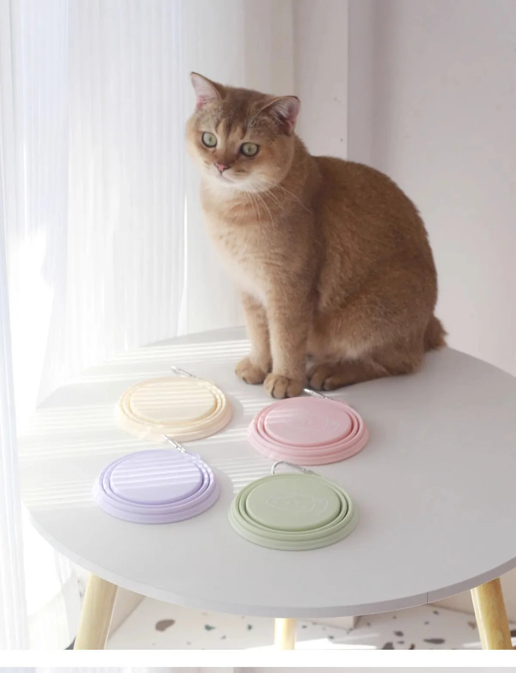 Outdoor Drinking Portable Silicone  Folding Cat Bowls Dog Bowls