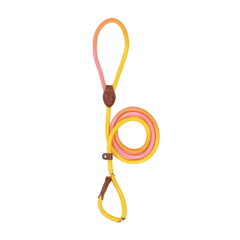 Heavy Duty Braided No Pull Training Lead Leash
