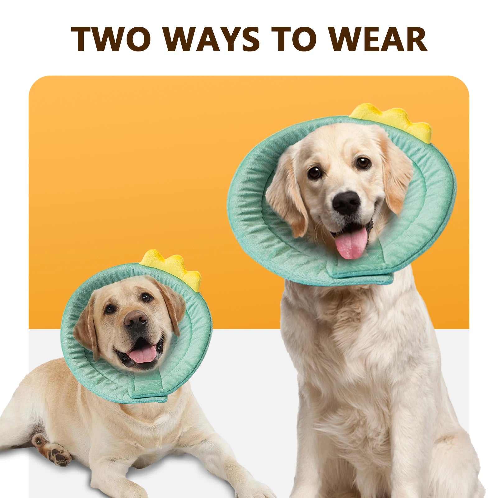 Cone Dinosaur Style Adjustable Multi-purpose Collar