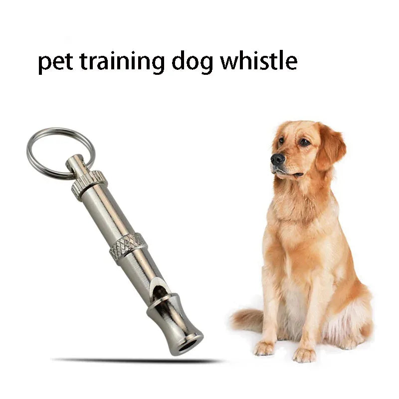 Dogs Training  Puppy  Training Whistle To Stop
