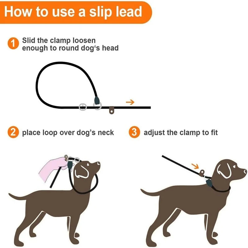 Heavy Duty Braided No Pull Training Lead Leash
