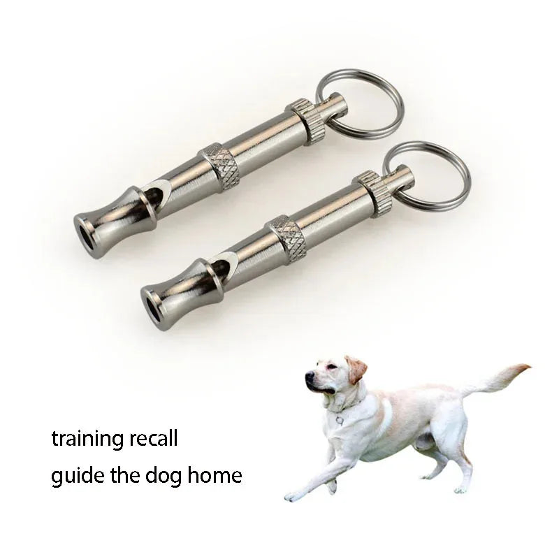 Dogs Training  Puppy  Training Whistle To Stop