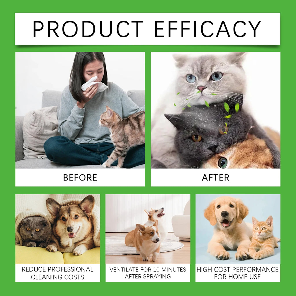 Spray for Cat Dog Urine Accidents on Carpet Furniture
