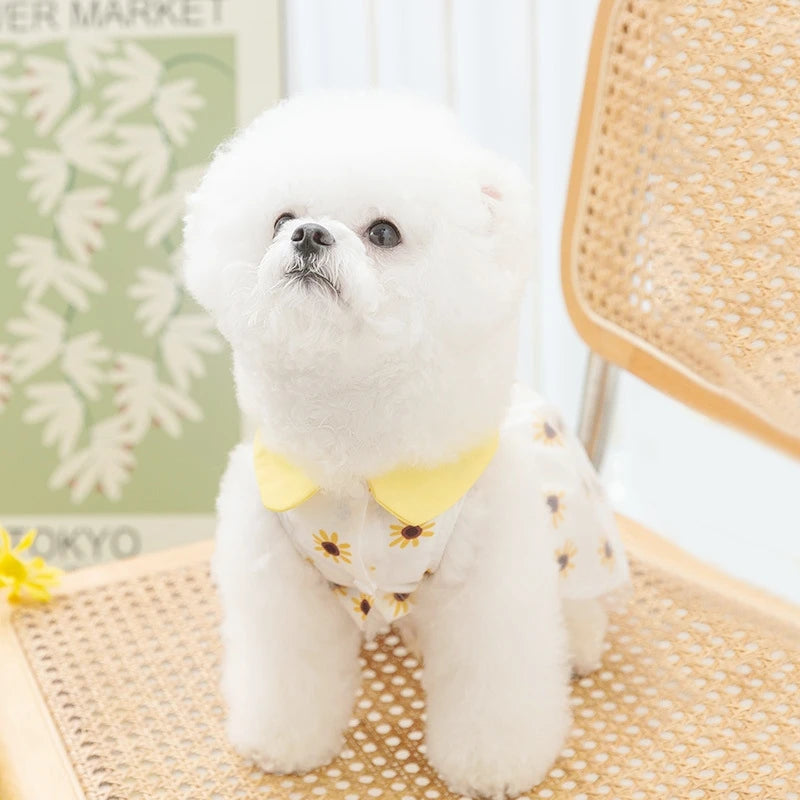 Princess Mesh Puppy Dog Summer Dress Bow Lace