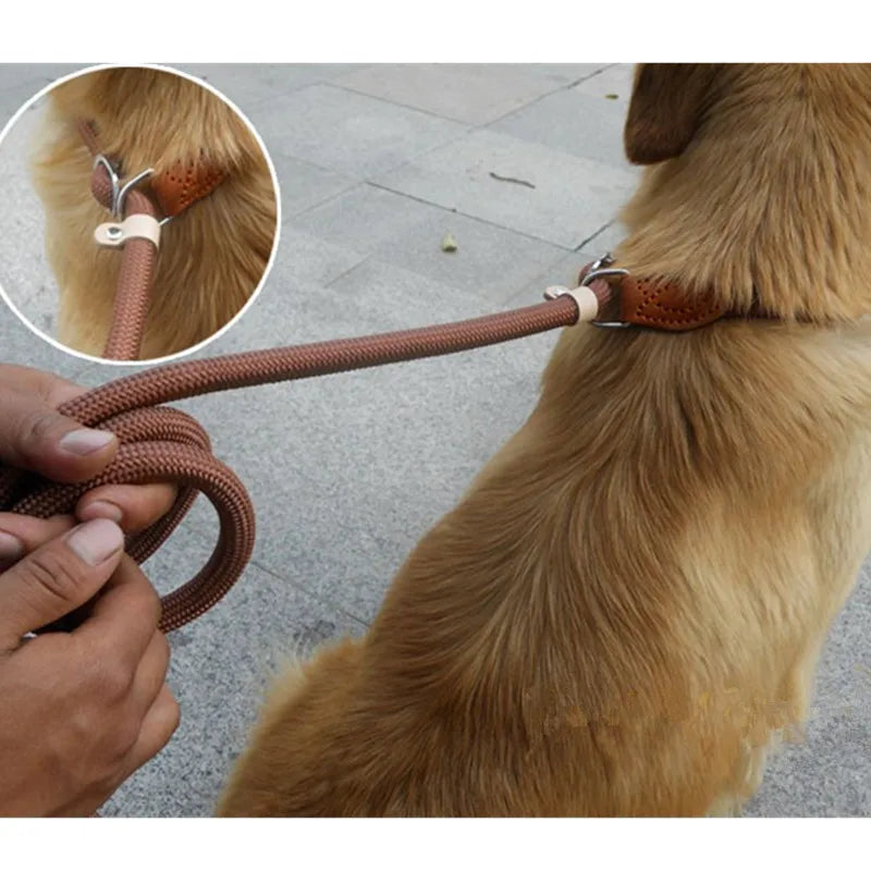Dog training collar anti riot nylon hand P rope