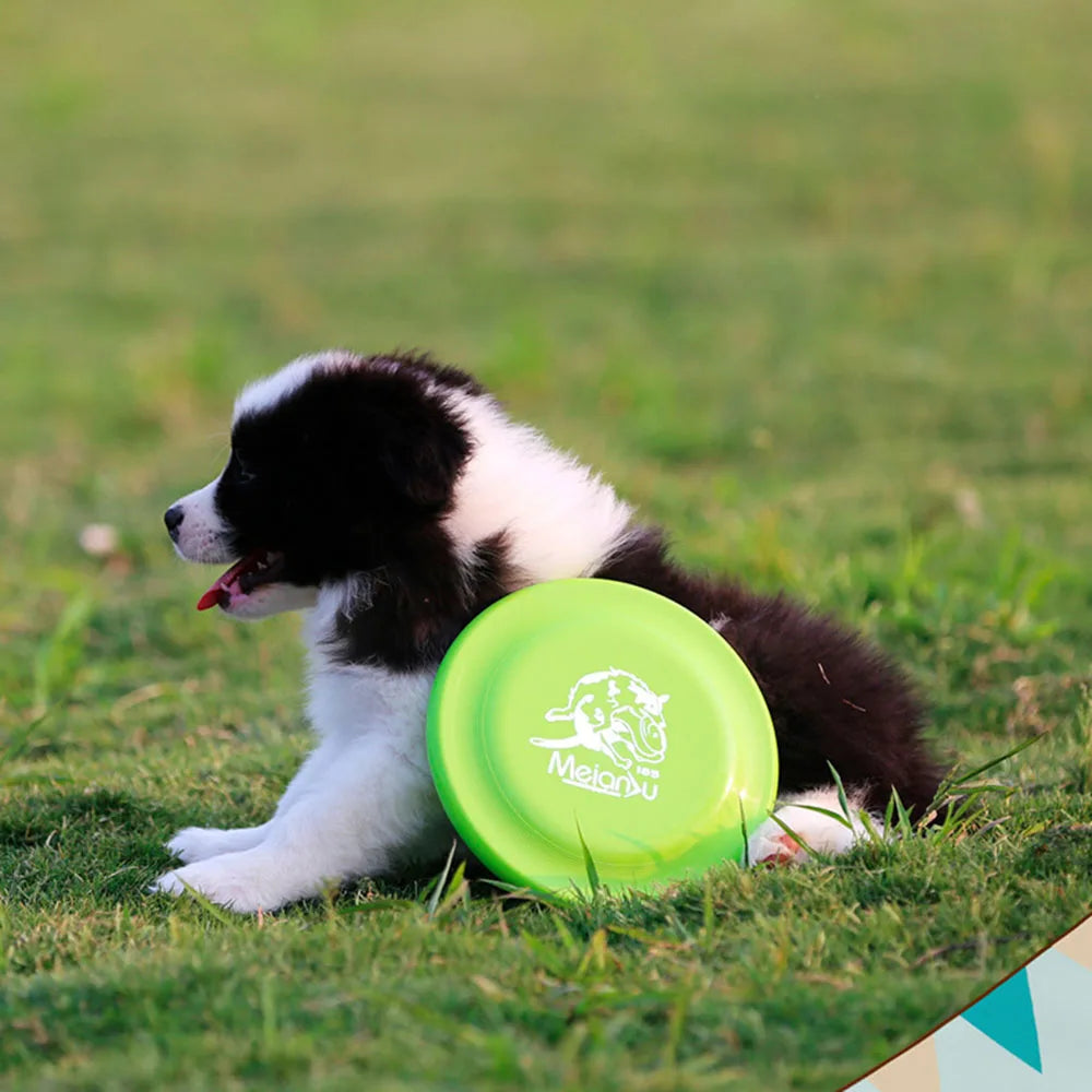 Training Disc - for Puppy & Adult Dog Lightweight Easy-Catch Dog Training Toy