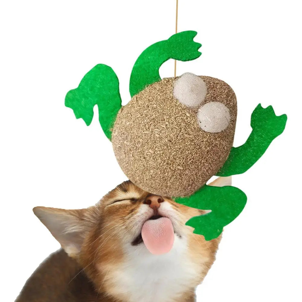 Catnip Cat Toys Cartoons Edible Catnip