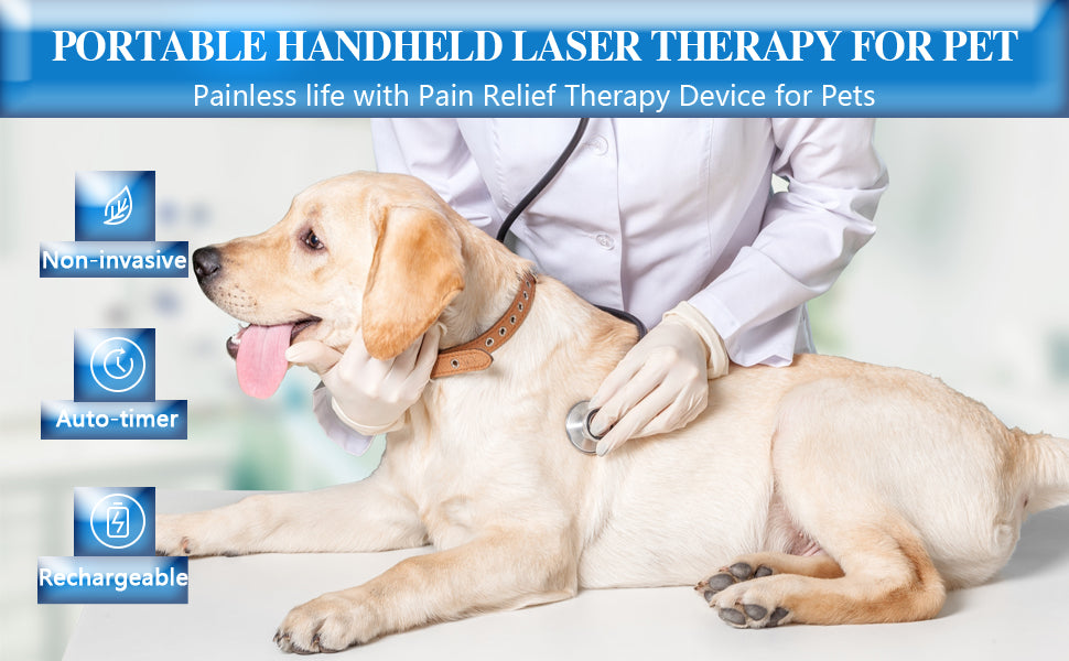 Portable Red Light Therapy Device for Pets Arthritis Treatment